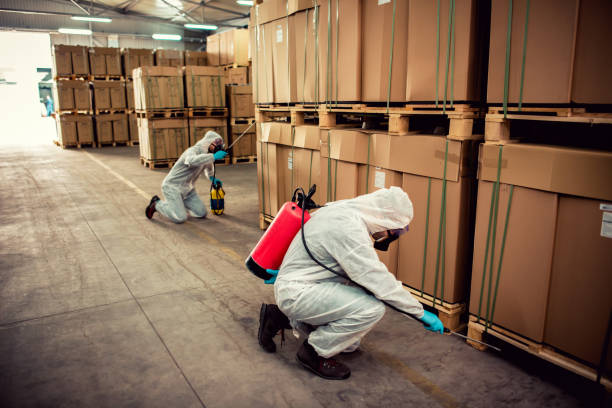 Best Pest Control Near Me in Darmstadt, IN