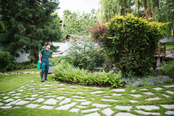 Best Pest Control Treatment  in Darmstadt, IN