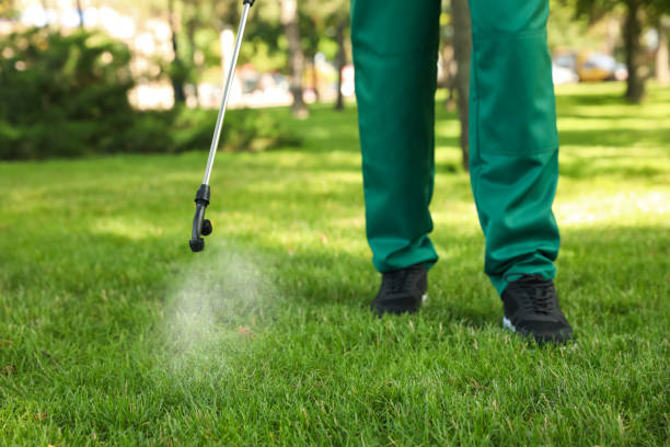 Best Insect Control  in Darmstadt, IN