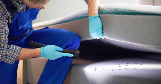 Best Pest Control Near Me  in Darmstadt, IN