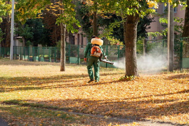 Best Ant Control Services  in Darmstadt, IN