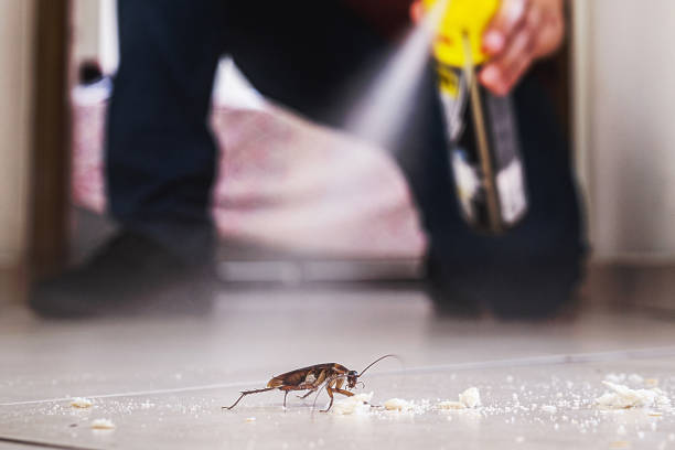 Best Rat Extermination Near Me  in Darmstadt, IN